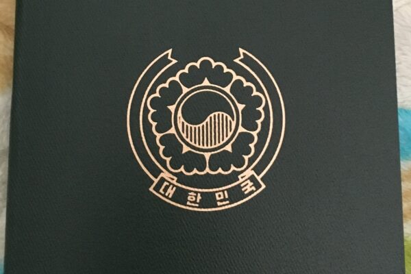 대한민국 전자여권 표지 — 한국 여행자 조지아 비자 안내
