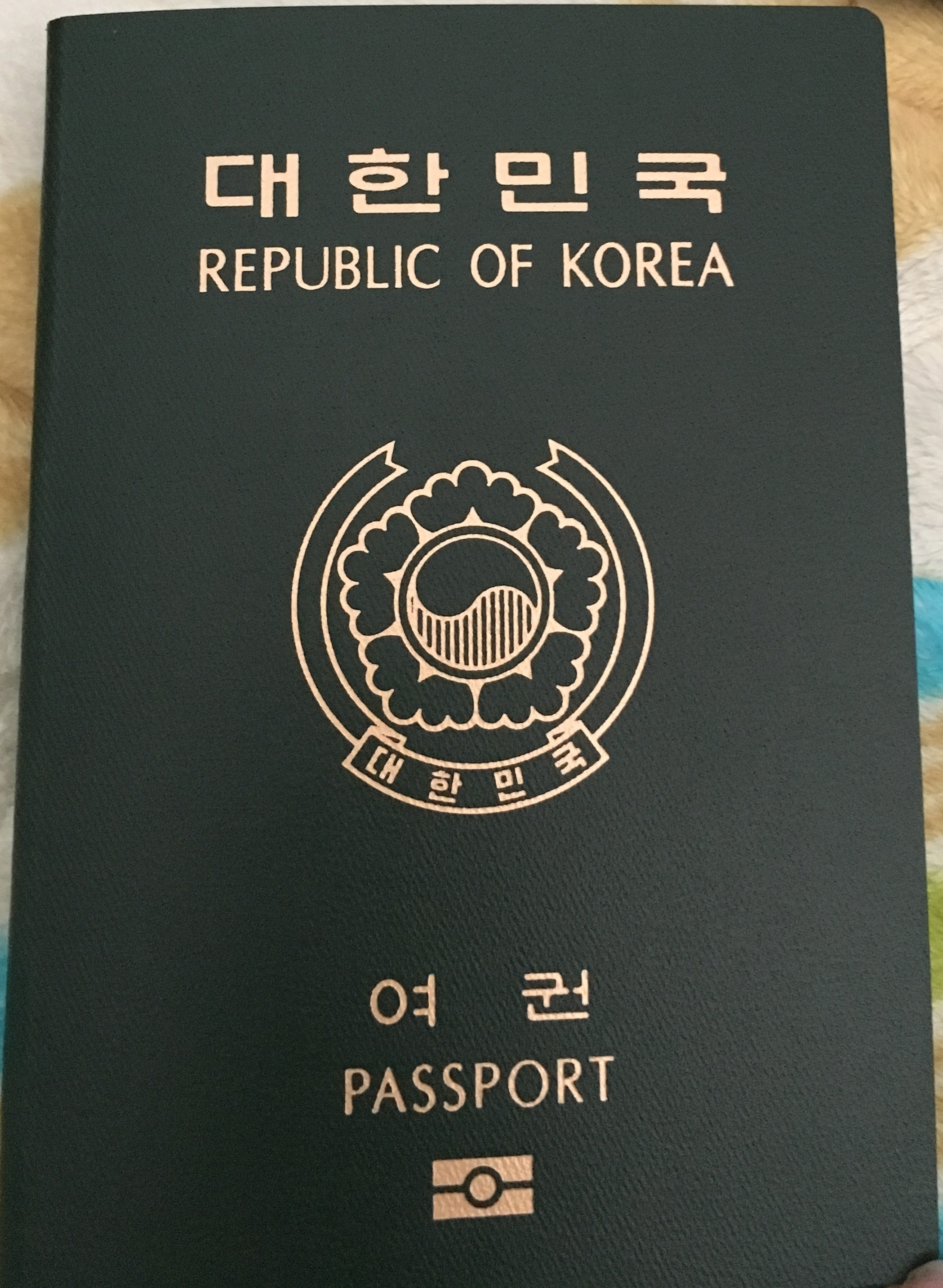 대한민국 전자여권 표지 — 한국 여행자 조지아 비자 안내
